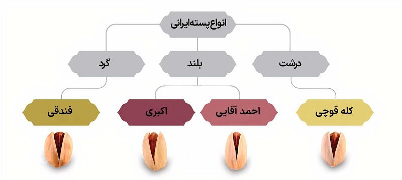 انواع پسته ایرانی